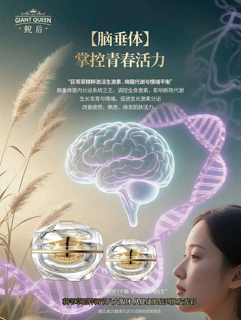 脑垂体调理