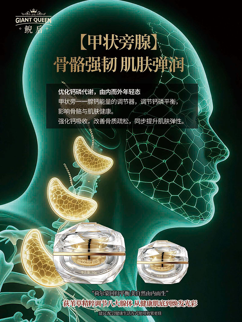 甲状旁腺调理