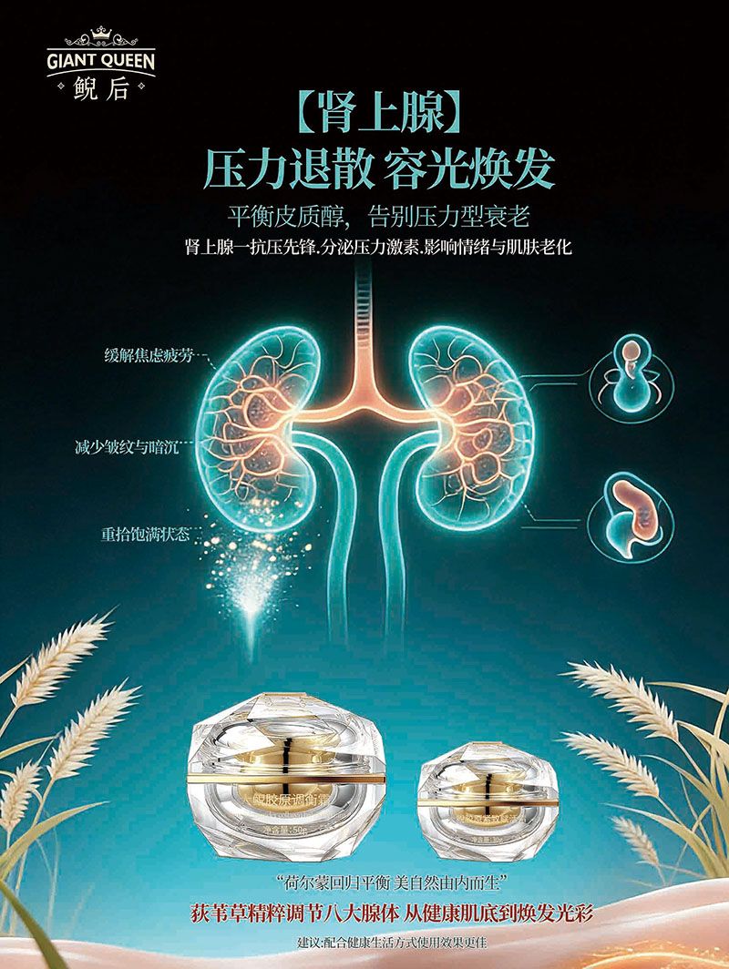 肾上腺调理