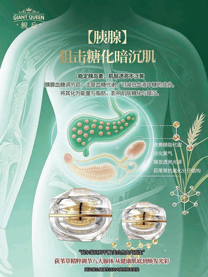 胰腺调理